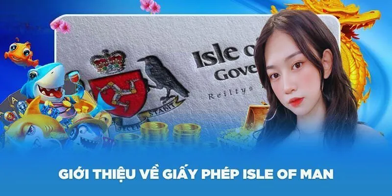 Tổng hợp các giấy phép hoạt động R88 đang nắm giữ